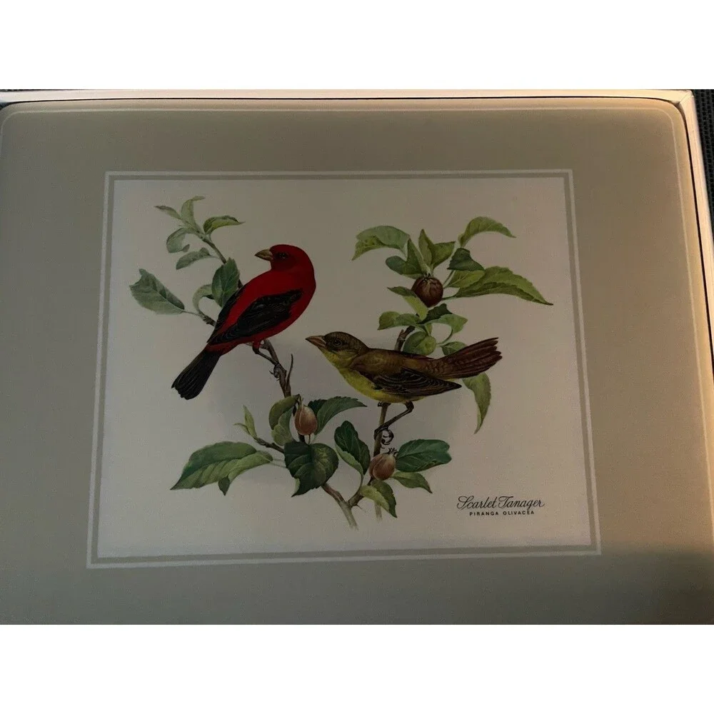 Set 4 Pimpernel Heavy Cork Backed Placemats Birds 12x9 Oriole Bluebird Chickadee
